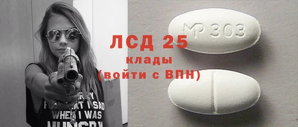гидропоника Новозыбков