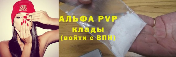 гидропоника Новозыбков
