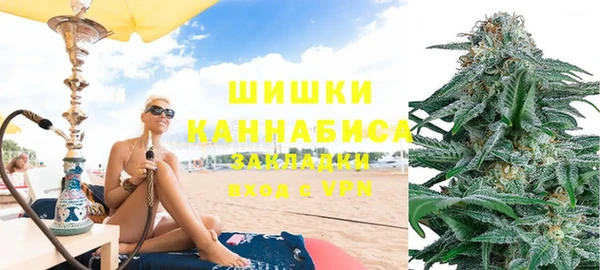 гидропоника Новозыбков
