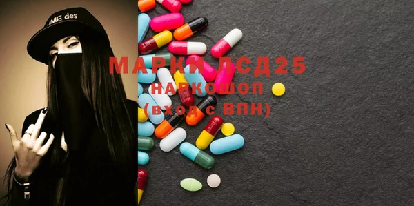хмурый Белая Холуница