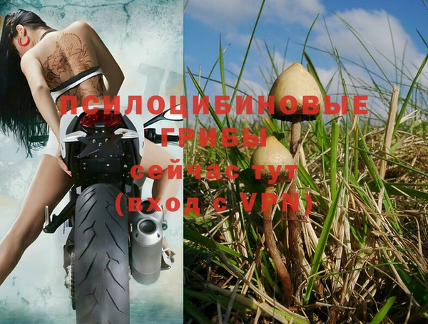 гидропоника Новозыбков
