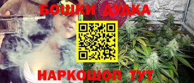 стаф Абакан