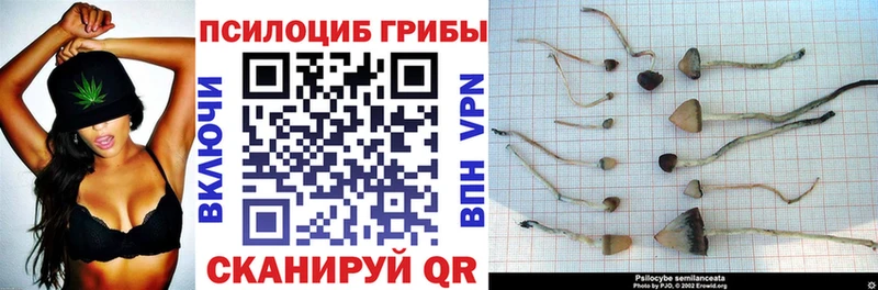 Галлюциногенные грибы Magic Shrooms  Алексеевка 