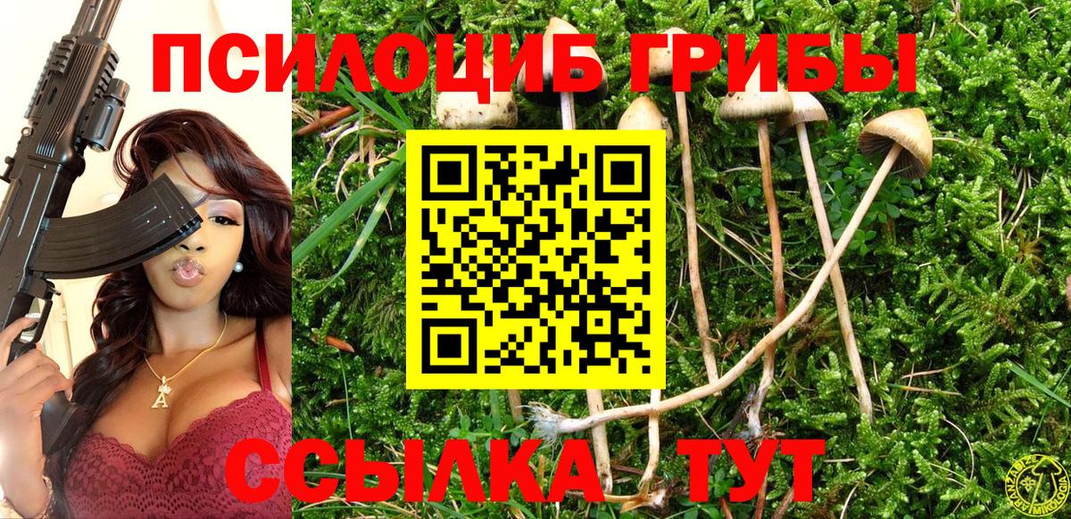 Псилоцибиновые грибы Magic Shrooms  как найти наркотики  Галлюциногенные грибы Magic Shrooms  Алексеевка 
