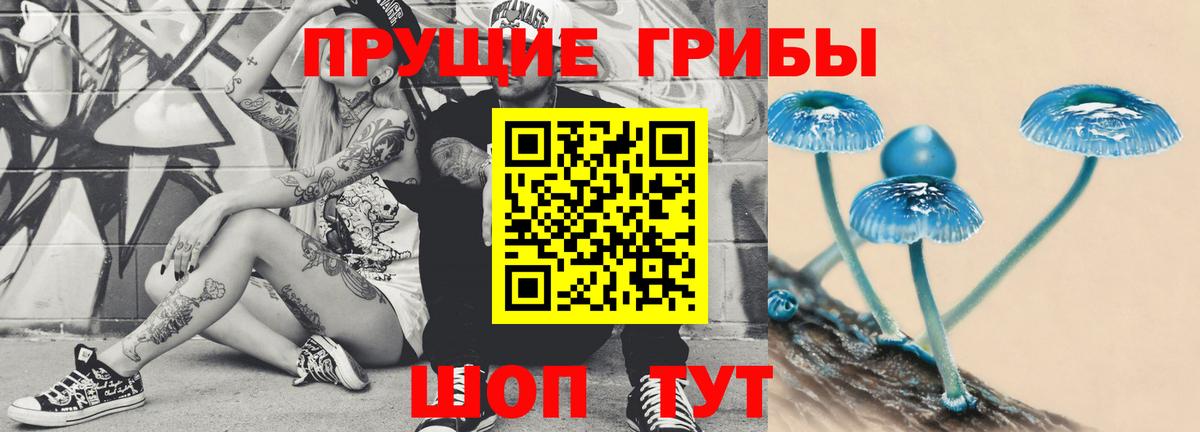 Псилоцибиновые грибы Psilocybine cubensis Алексеевка
